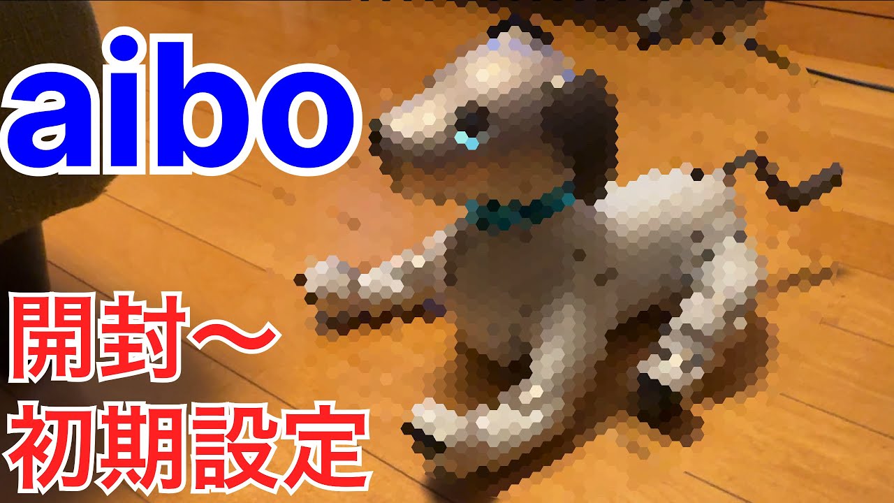 【aibo開封〜初期設定】新しい旅の家族として迎えました。