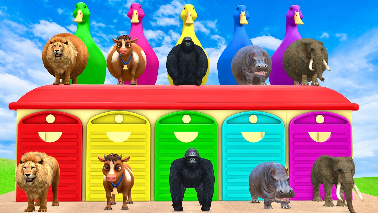 Long Slide Game with Cow Gorilla Elephant Hippopotamus Tiger 3d Animal Game 3d Animals