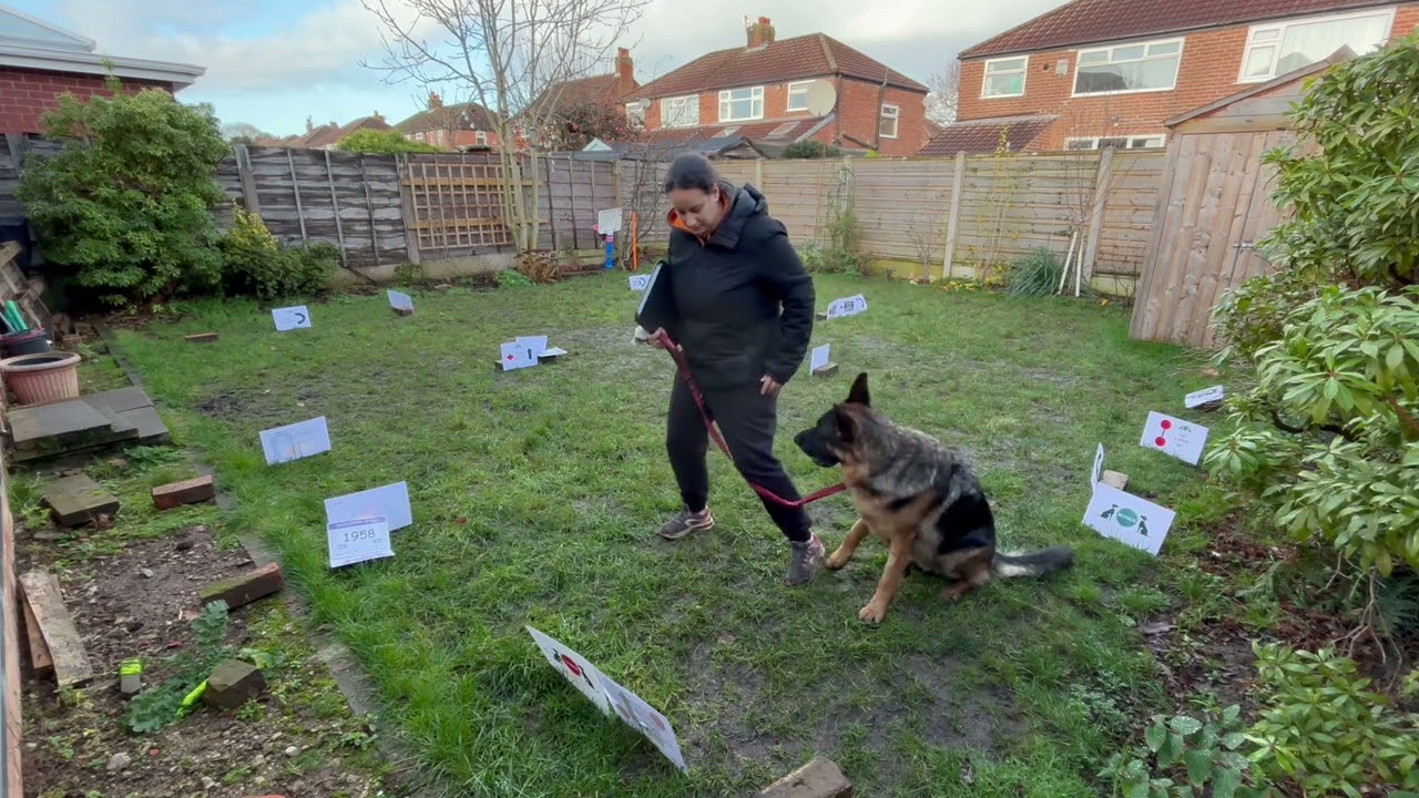 Logan (1958) Rally Online December 2025 Special Silver Service