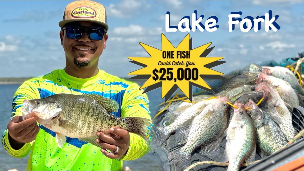 Catching SLABS at Crappie Fest 2025 | My First Crappie Tournament + MAJOR Life Event