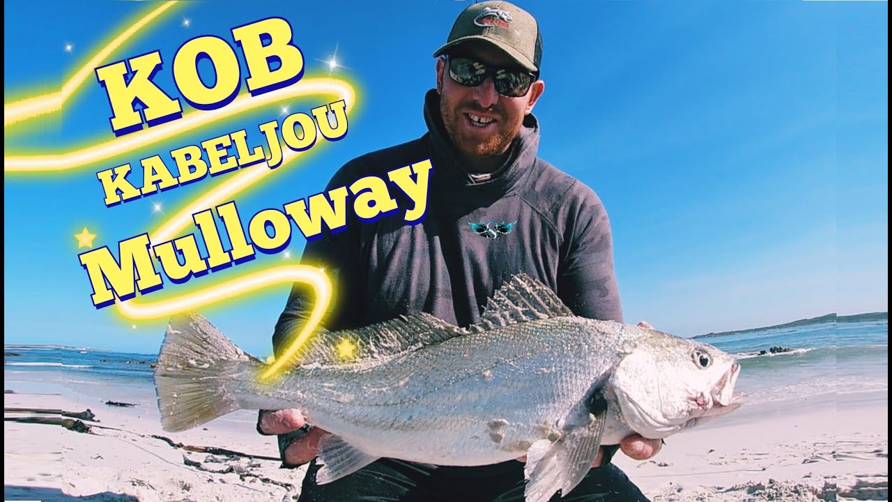 Fishing for SUMMER KOB inbetween KELP