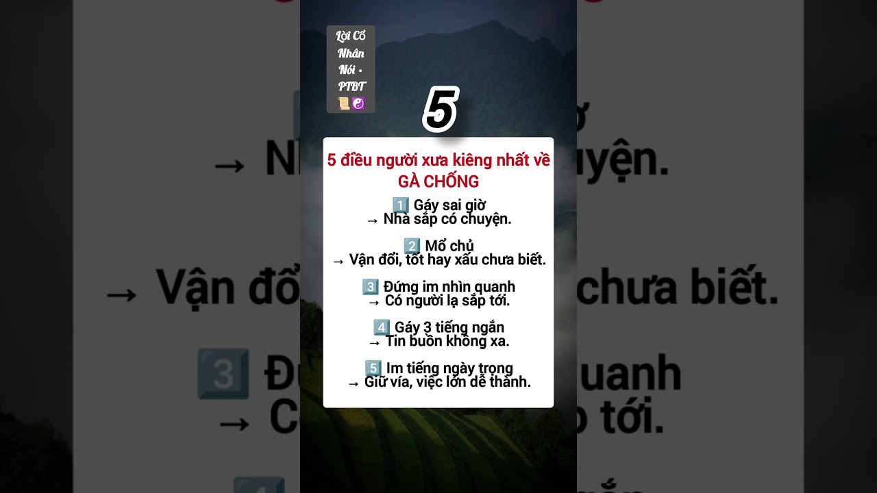 5 điều người xưa kiêng nhất về Gà Chống | Cổ Nhân PTBT 