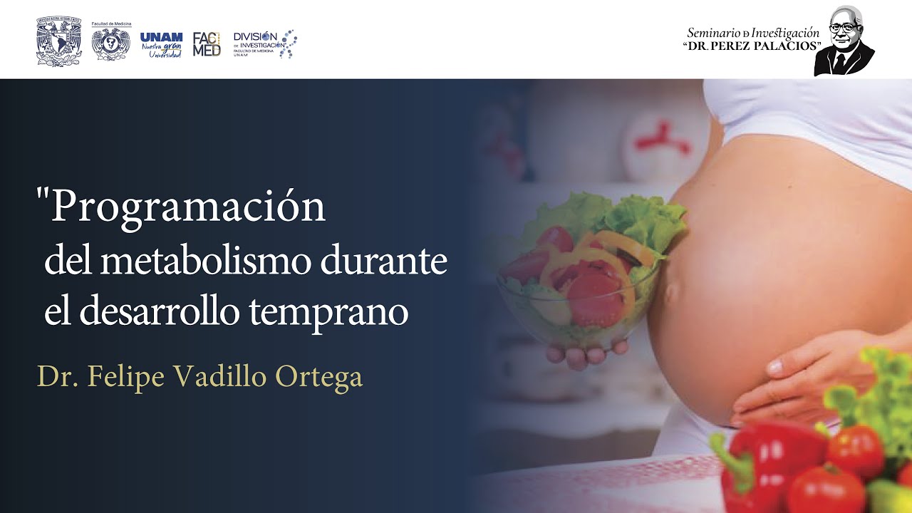 SEMINARIO - “Programación del Metabolismo en el desarrollo temprano”