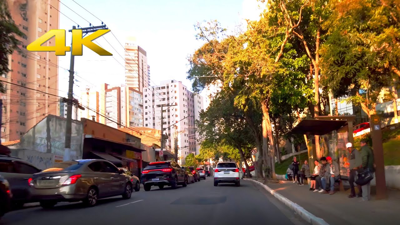 Dirigindo no Alto da Lapa: As Ruas Mais Charmosas da Zona Oeste de SP