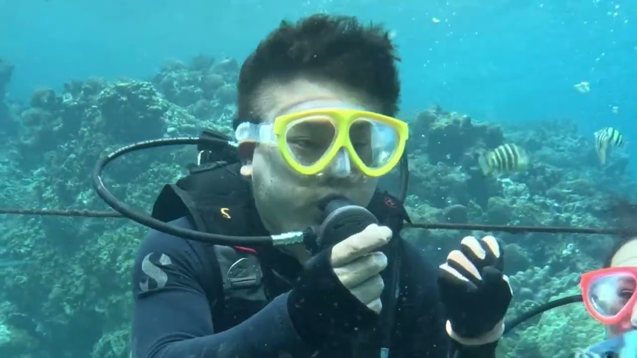 Happy Ocean Stars Underwater 🌊