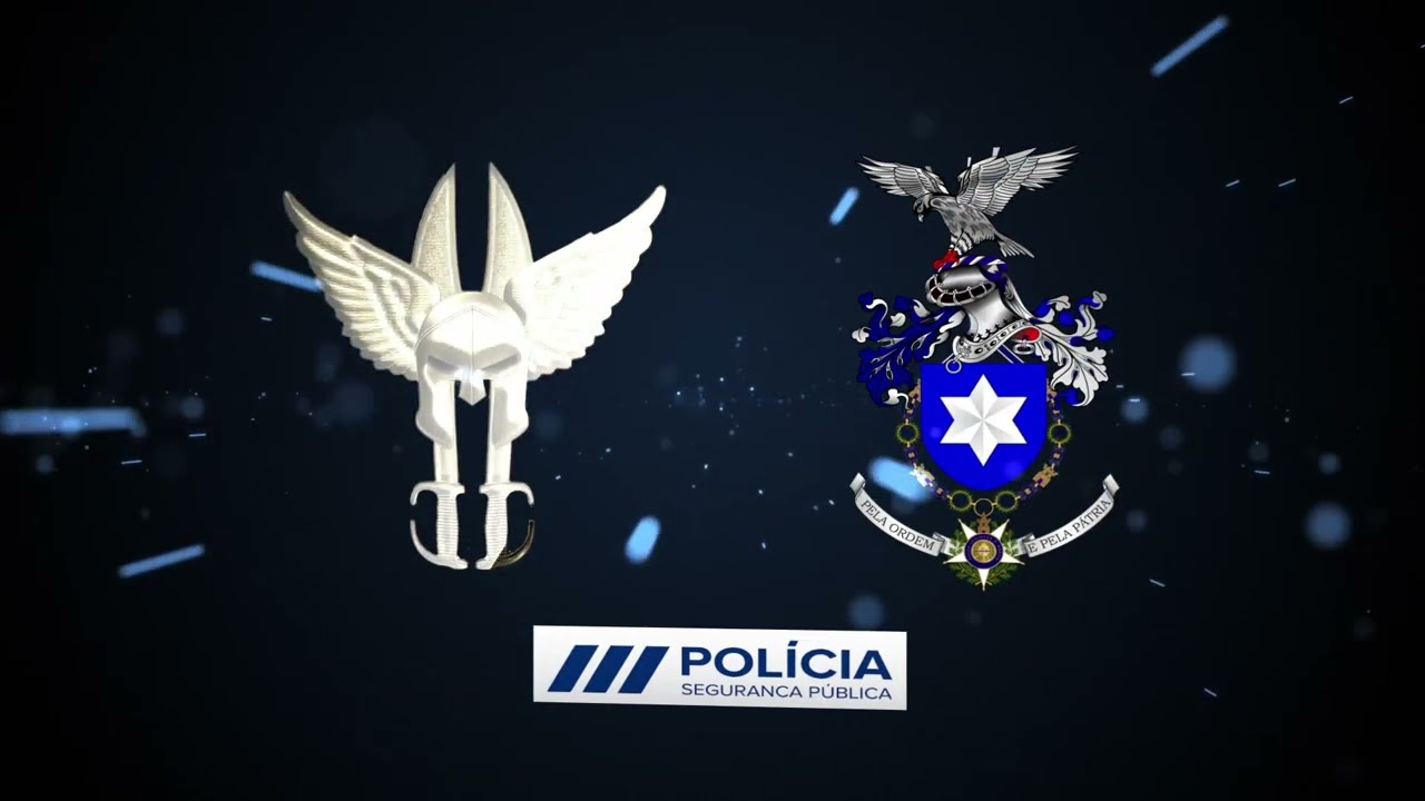 EPRI - Equipas de Prevenção e Reação Imediata -  Portuguese Police (Página não Oficial)
