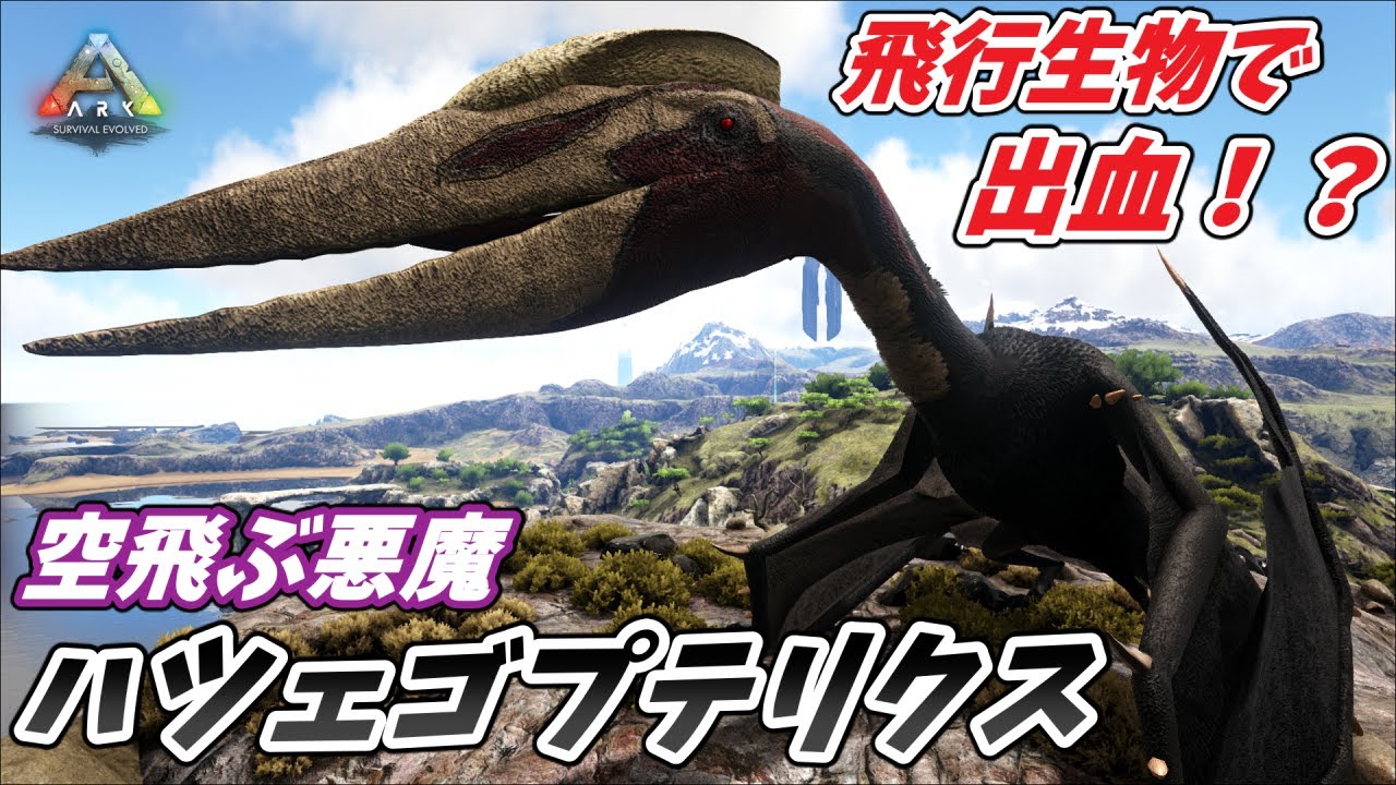 ギガノト並みの強さを誇る大空の覇者