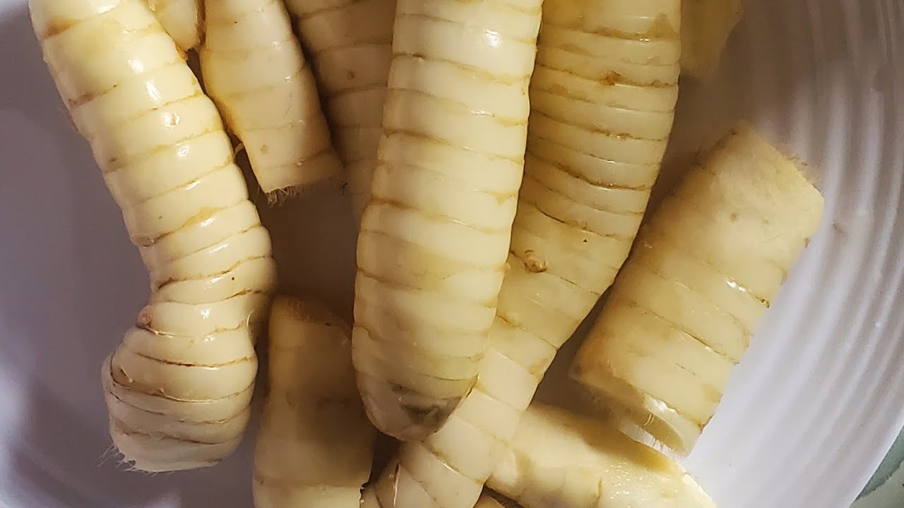 How To Make Arrow Root Powder at home #recipe