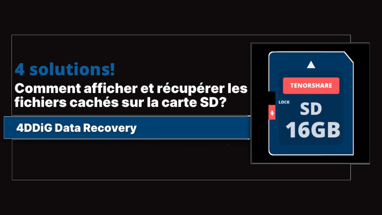 4 façons d'afficher et de récupérer des fichiers cachés sur une carte SD