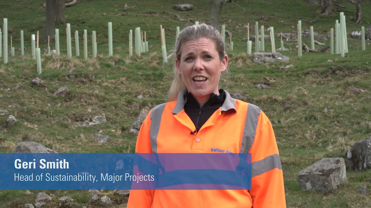 Project tree – Cragg Estate volunteering day
