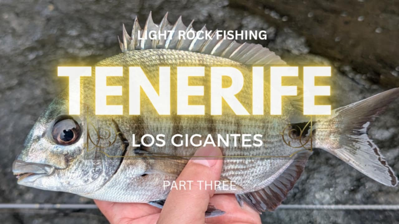Light Rock Fishing in Tenerife - Los Gigantes - Part Three