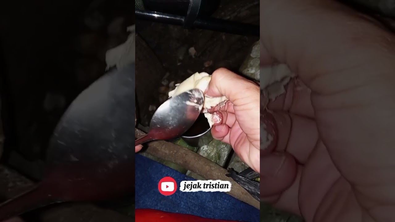 sensasi ngopi campur durian di bawah pohon durian 