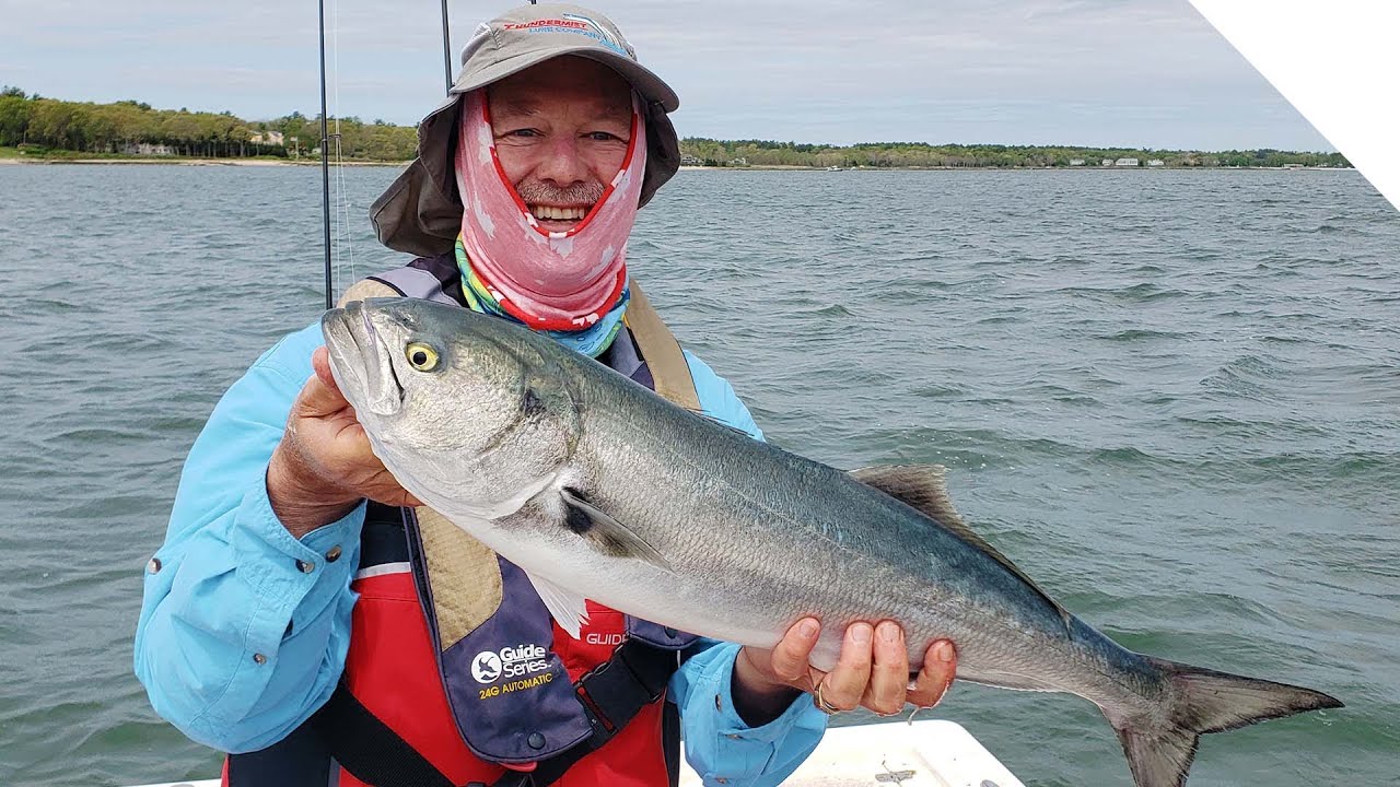 Top water blue fish action!