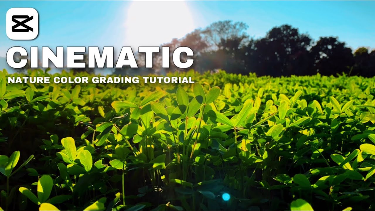 Mastering Cinematic Color Grading: Elevate Your Videos with Pro Techniques | CapCut Tutorial
