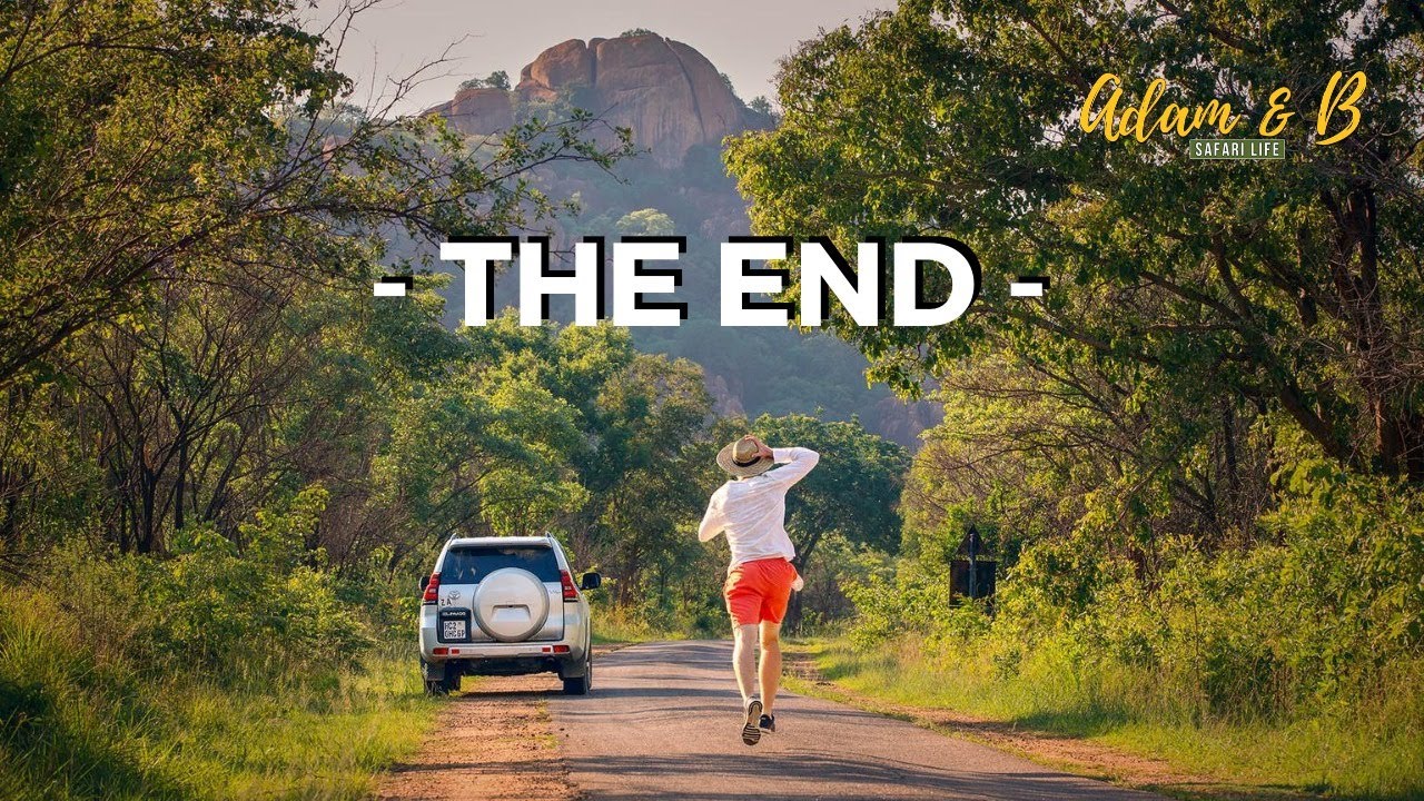 SafariLife Season 1 Grand Finale | SafariLife S1Ep38