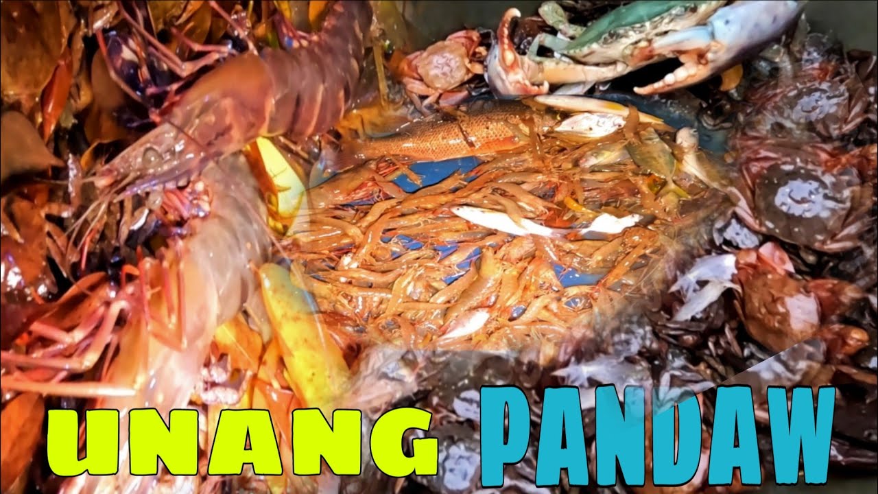 EP562:PART1-HULI SA BAKLAD
