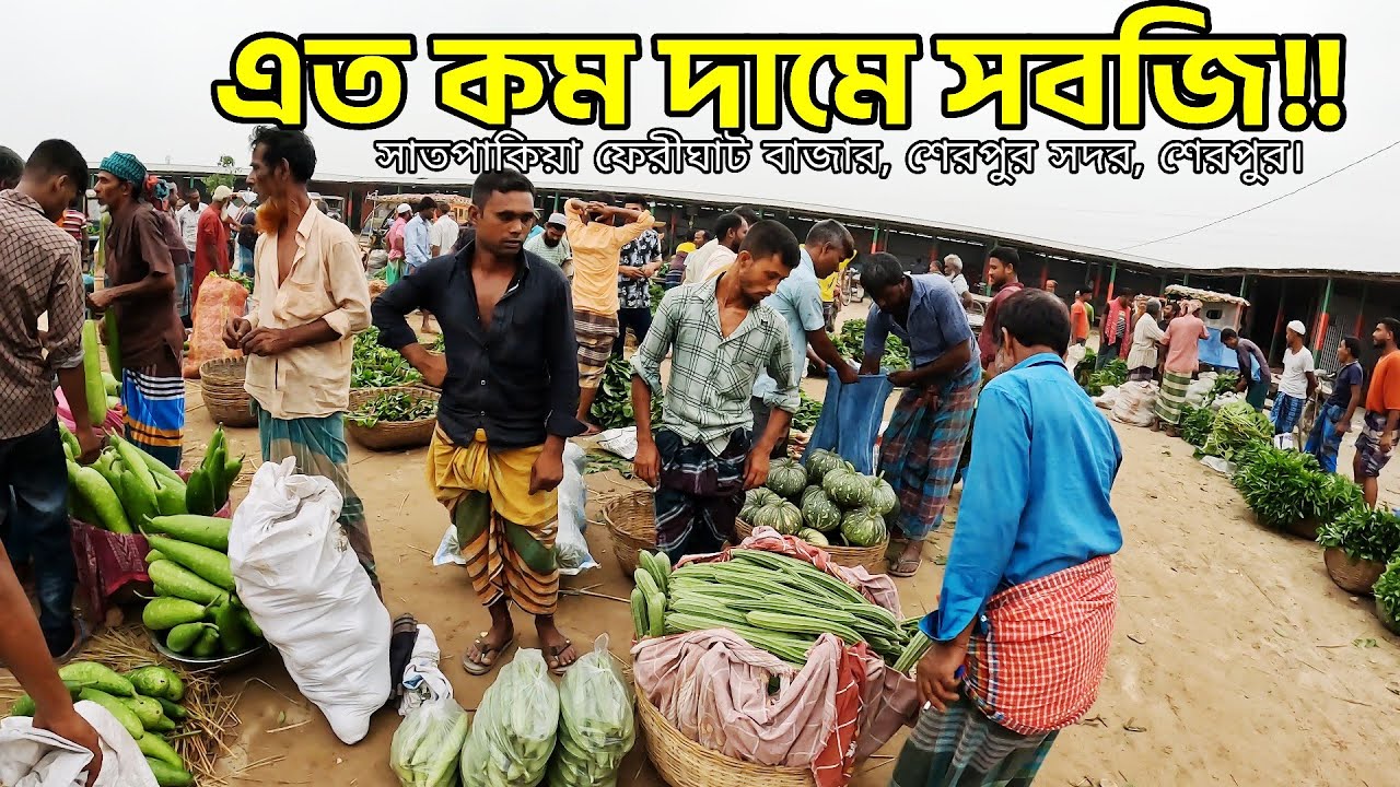 Овощи по таким низким ценам — удар по уму фермеров | Satpakia Ferighat Bazar, Sherpur Sadar | Fer...