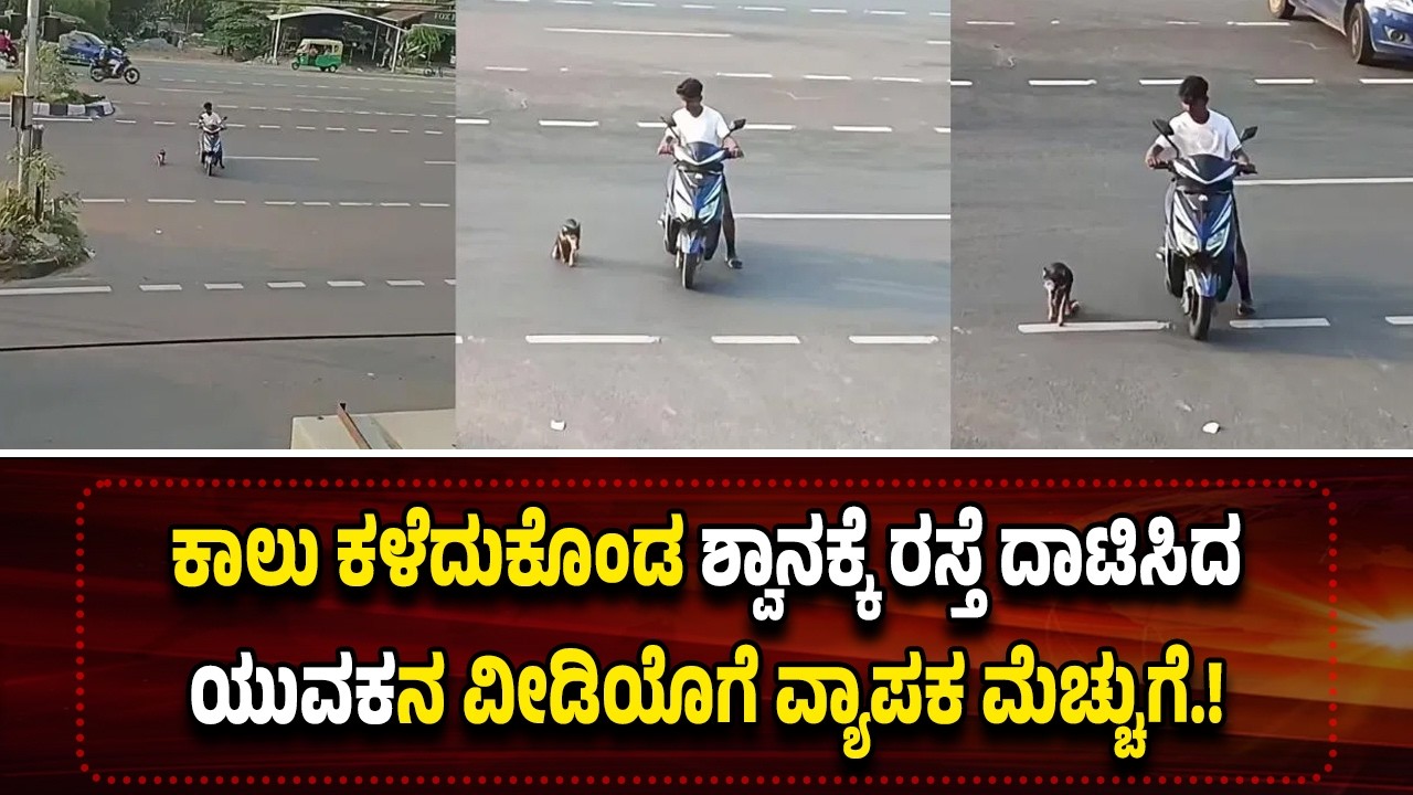 Трогательное видео, на котором молодой человек проявляет гуманность, помогая собаке со сломанной ...