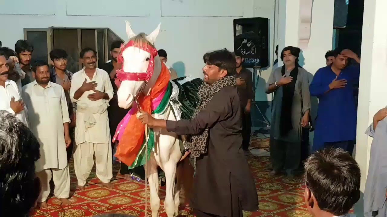 Live Pursa Pak in Mojianwala