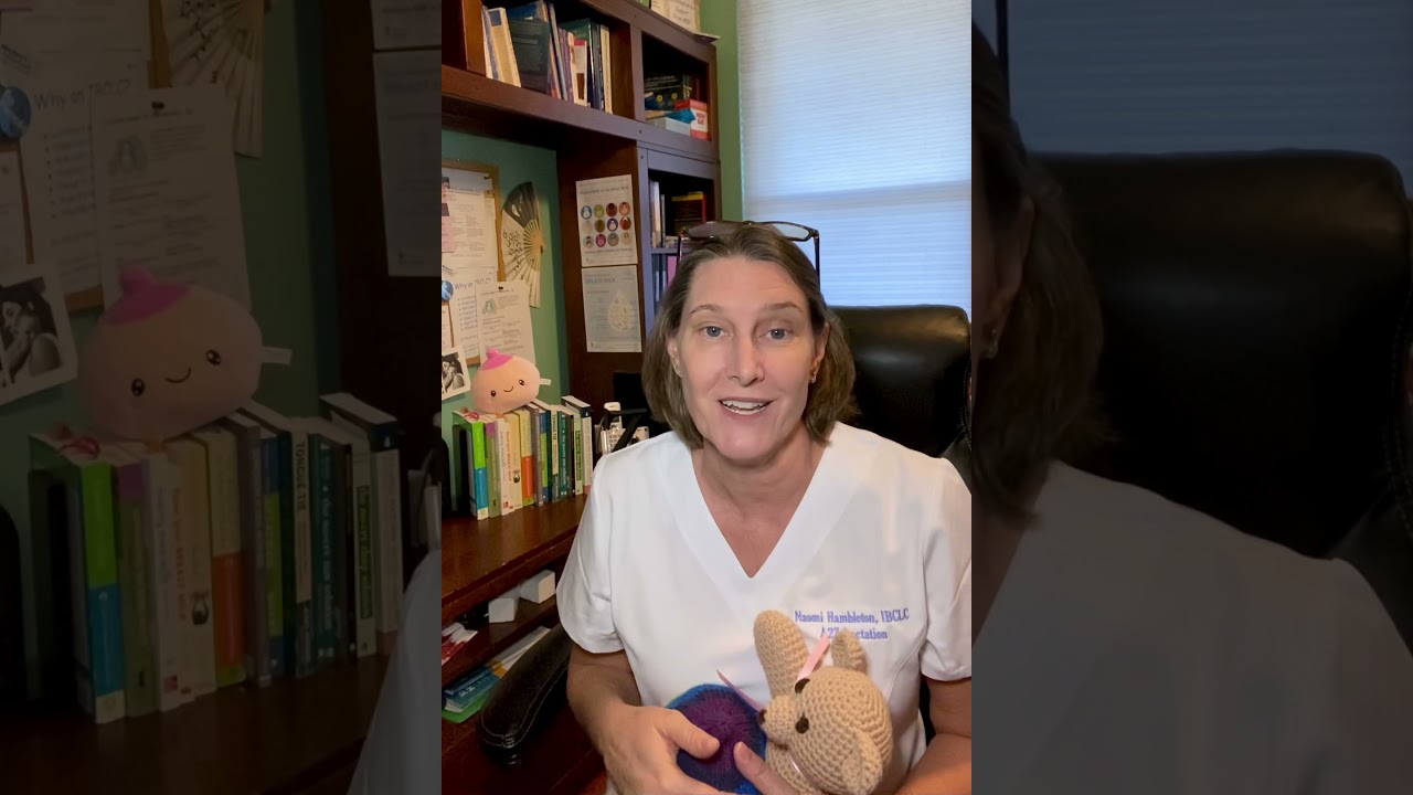 Phases of Lactation and Mammary Growth and Development