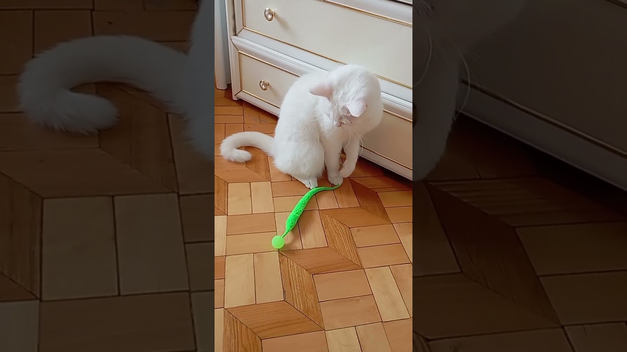Расчлененка 🍏 Dismemberment