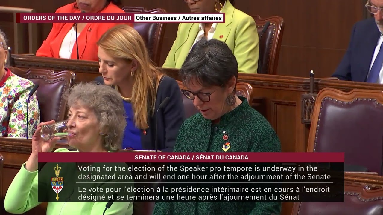 Guaranteed Livable Basic Income (Bill S-206) 2nd Reading at the Senate