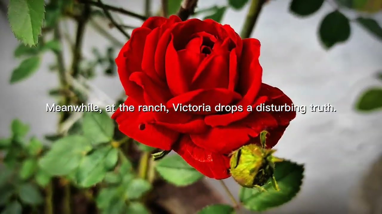 CBS🔴[3/3/2026] Young and the Restless FULL Episode: Victoria Disturbing Admission Shocks Genoa City