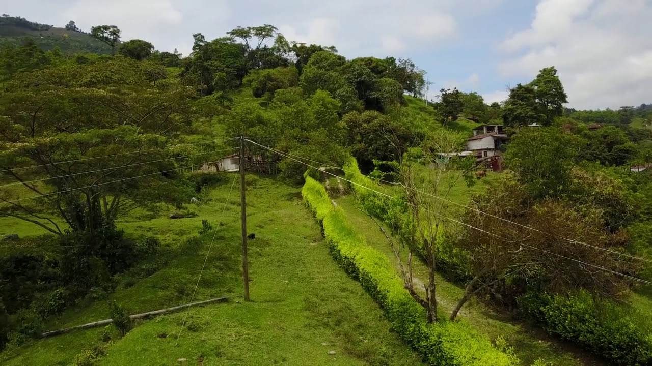 LOTE PARA LA VENTA EN FREDONIA ( ANTIOQUIA)
