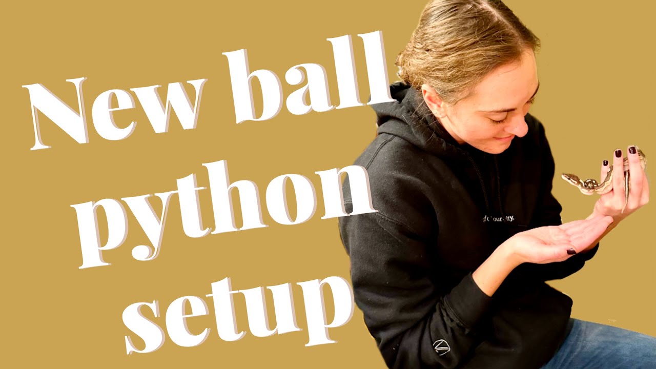 Setting Up My New Ball Python Enclosure (120 gal)