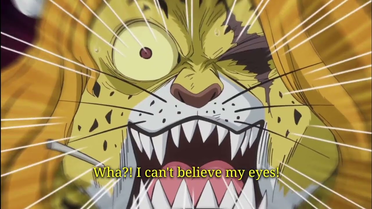brook shocked everyone after giving them the copy of Poneglyphs. onepiece