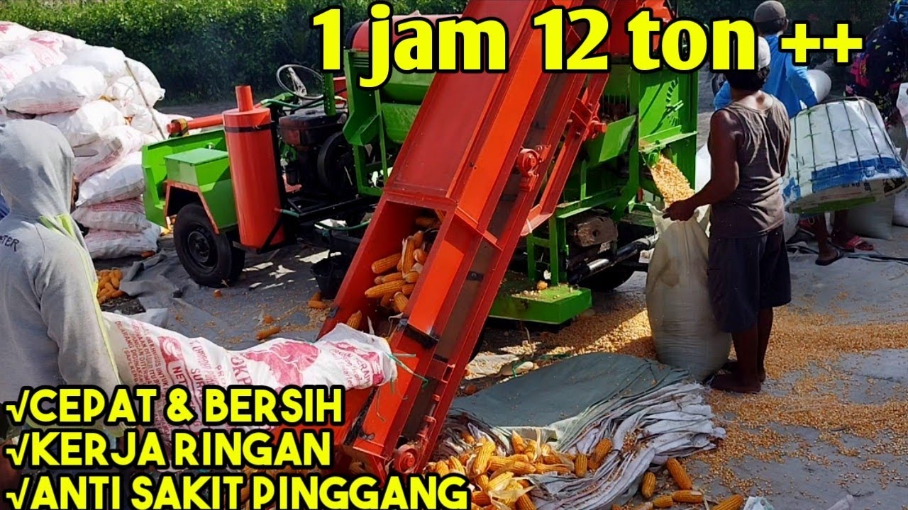mesin perontok jagung conveyor model terbaru