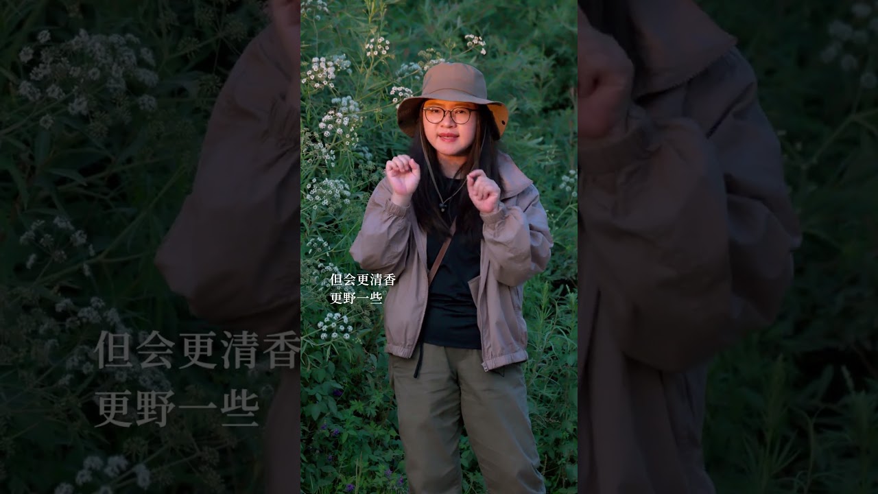 自然界数一数二的有毒植物，毒芹，每年都会有人因为误食她而中毒，毒死苏格拉底的植物是她吗？#一日一植物