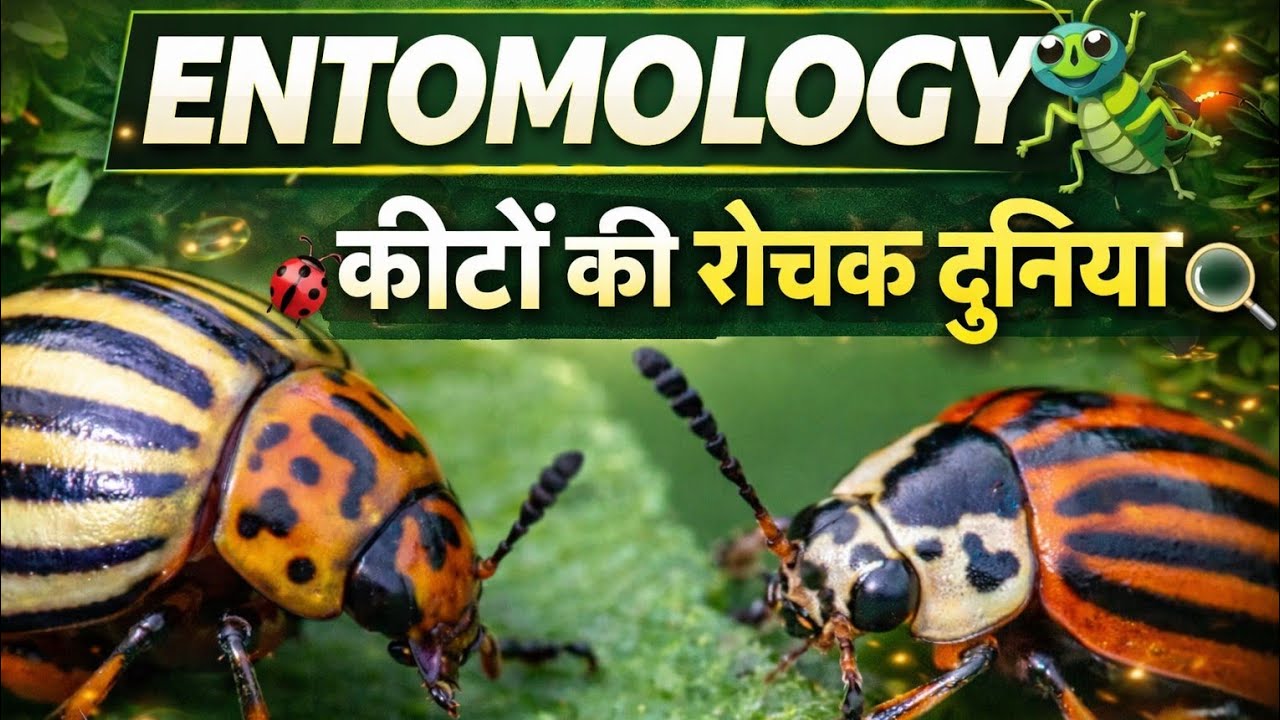 Entomology | कीटों की रोचक दुनिया 🐞