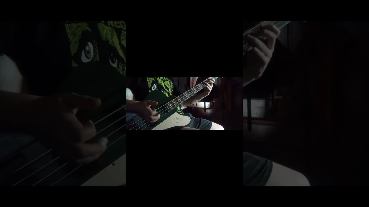 Rage Against the Machine | Take the Power Back | Bass Cover 