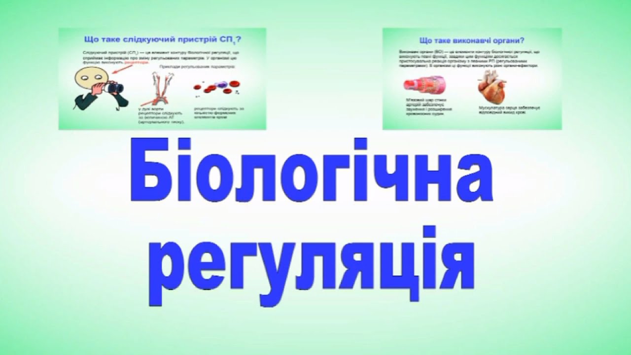 Біологічна регуляція  Фізіологія людини