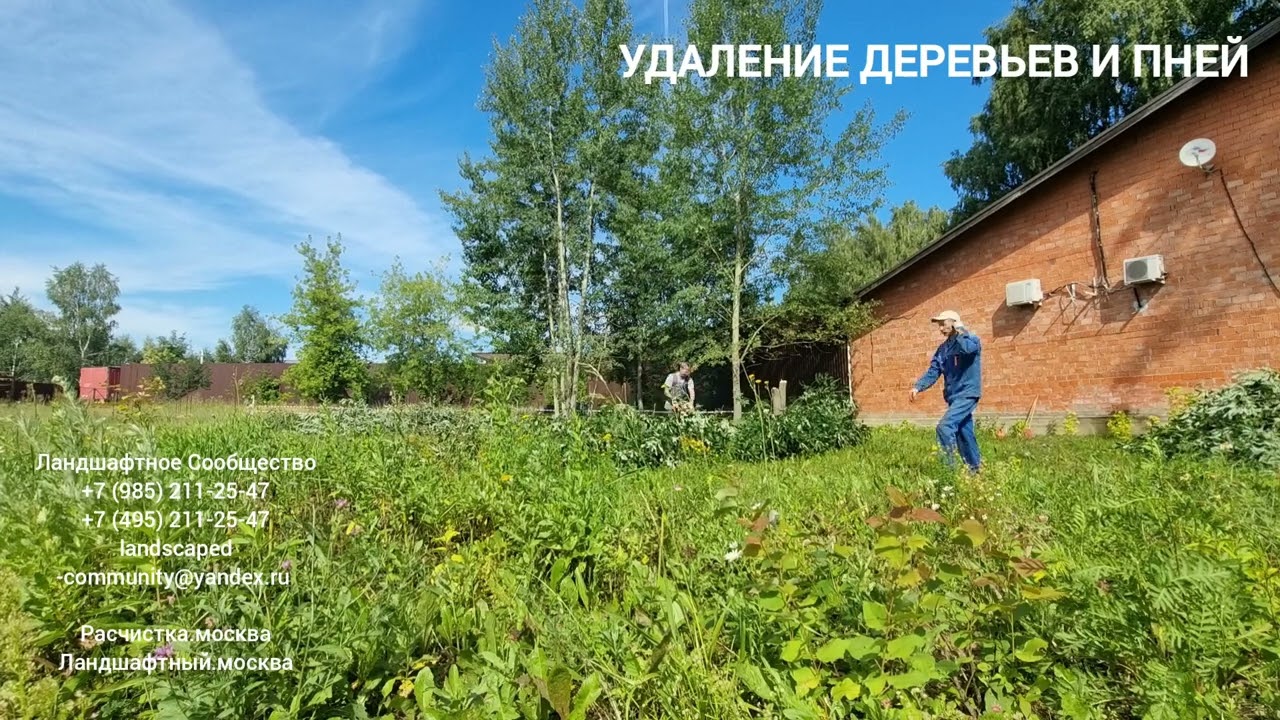 Удаление деревьев и пней на вашем участке. Приемлемые цены. Москва и Московская область.