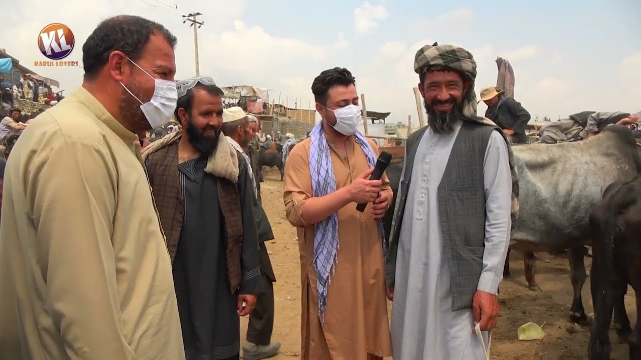 گزارش از نقاش و‌ قیمت گاو گوسفند قبل از عید قربان