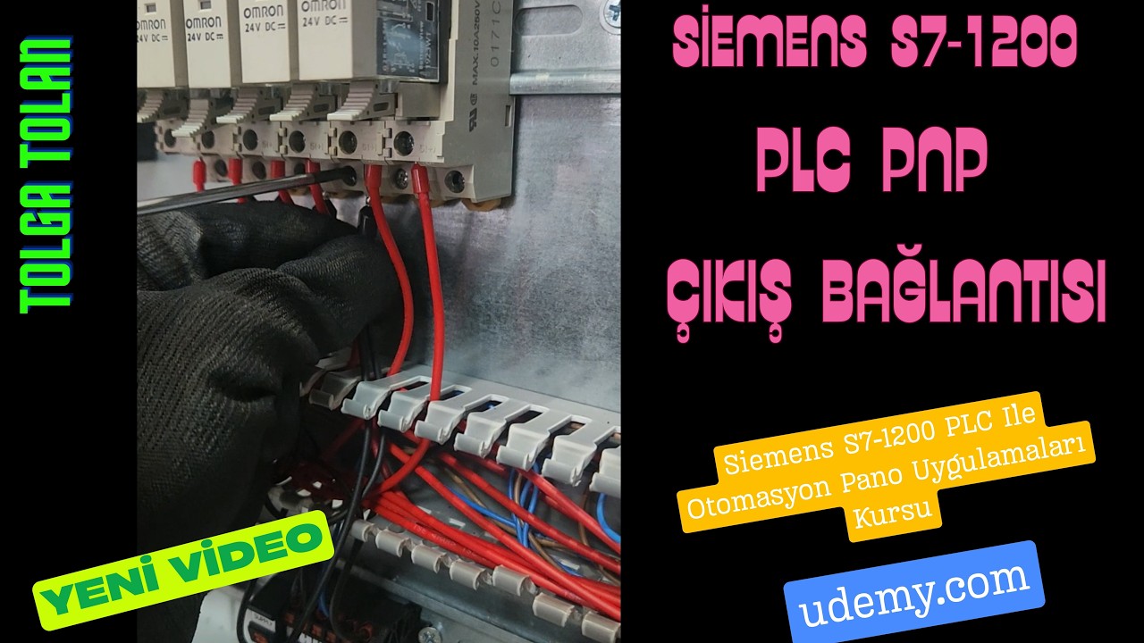 ✴️Siemens S7-1200 İle Otomasyon pano Uygulamaları Kursu 👍Siemens PLC PNP Çıkış Bağlantıları