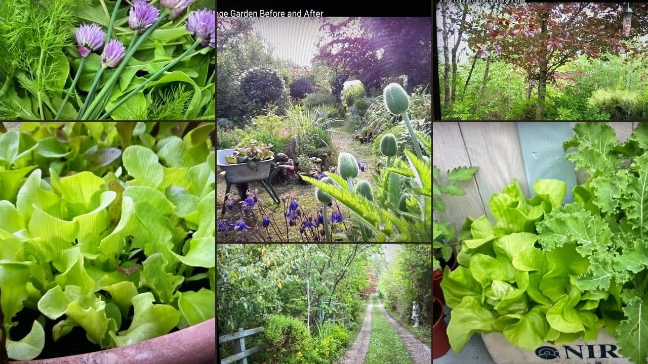 Bealtaine Cottage ~ A Real Cottage Garden Before and After