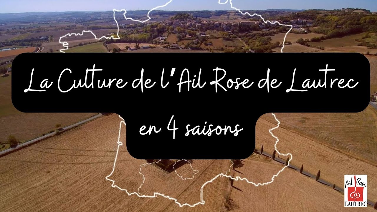 La Culture de l'Ail Rose en quatre saisons