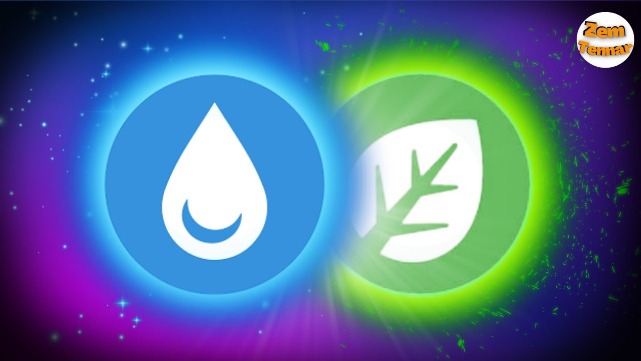 Why Dual Type Synergy Wins More Battles in Pok&eacute;mon VGC Teambuilding