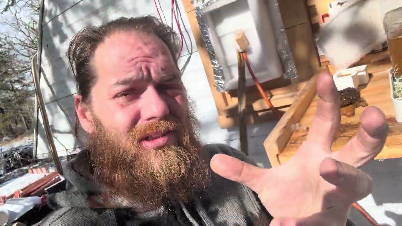 Bee Buffet alteration update: SAVING bees in CHILL Coma!!