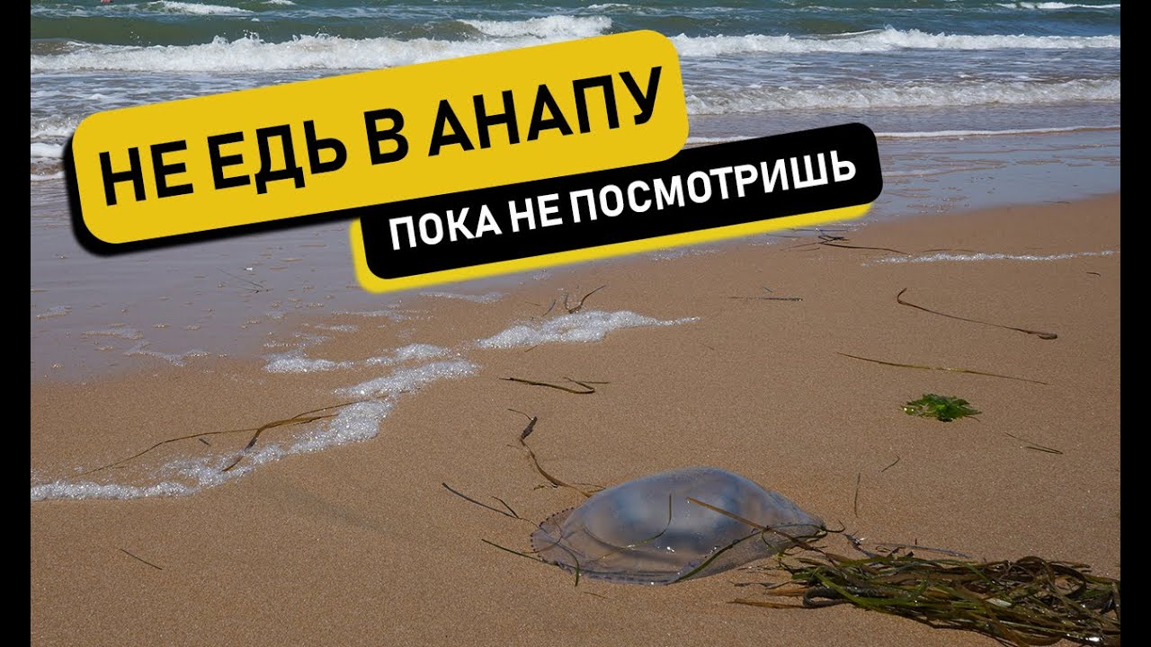 Анапа 2023 пляжи забиты, альтернатива - Азовское море, Голубицкая, Кучугуры.