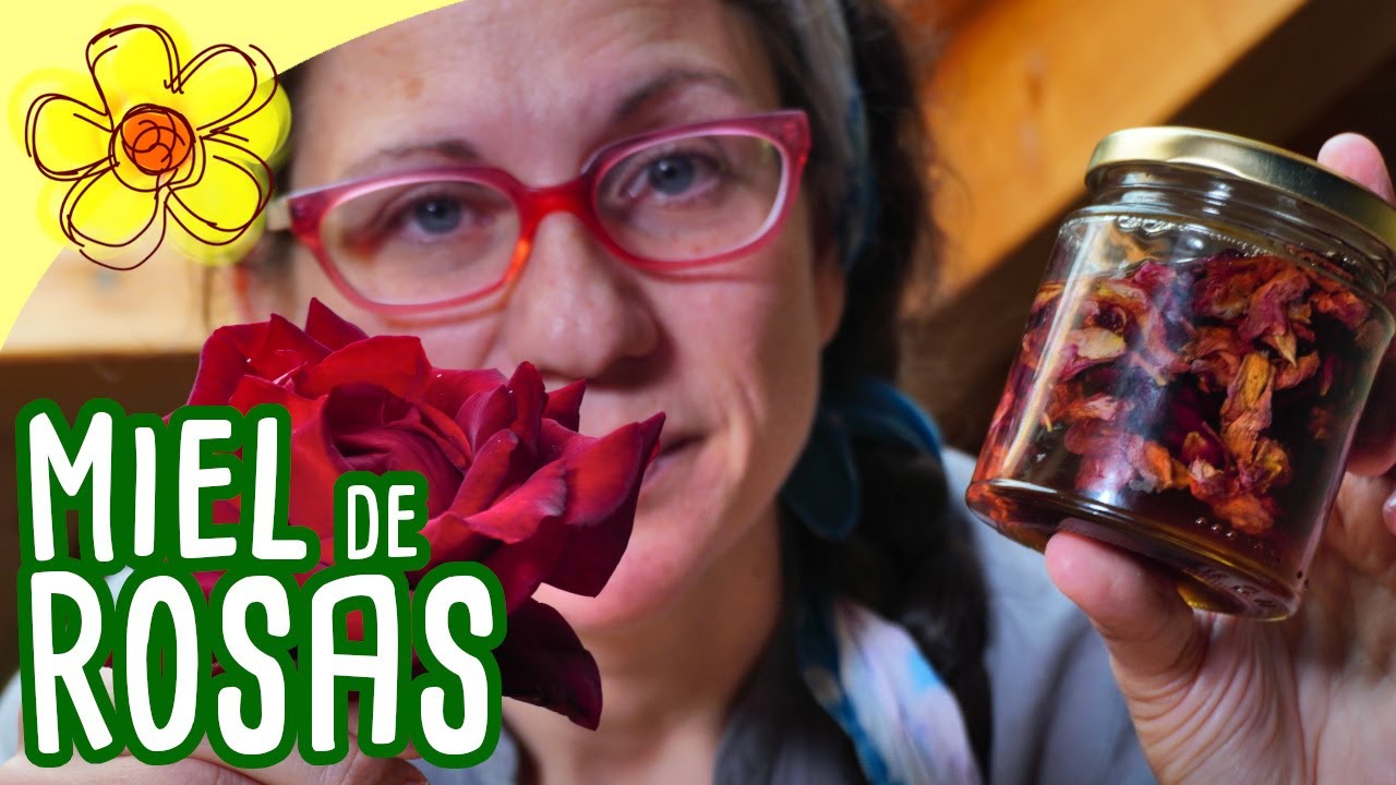 Cómo hacer MIEL de ROSAS