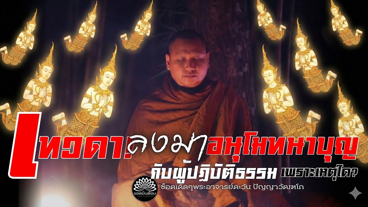 เทวดา! ลงมา“อนุโมทนาบุญกับผู้ปฏิบัติธรรม”เพราะเหตุใด? #พระอาจารย์ตะวัน #เทวดา #ธรรมะ #ทางพ้นทุกข์ 