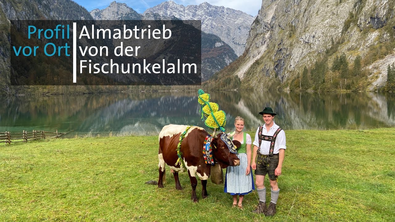 Heimfahrt mit der Pl&auml;tte