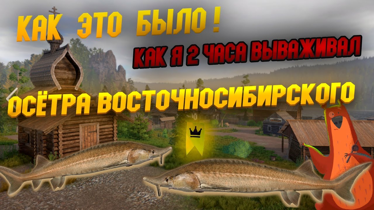 Река Нижняя Тунгуска &bull; Как я 2 часа вываживал Осётра восточносибирского &bull; Русская Рыбалка 4 #рр4