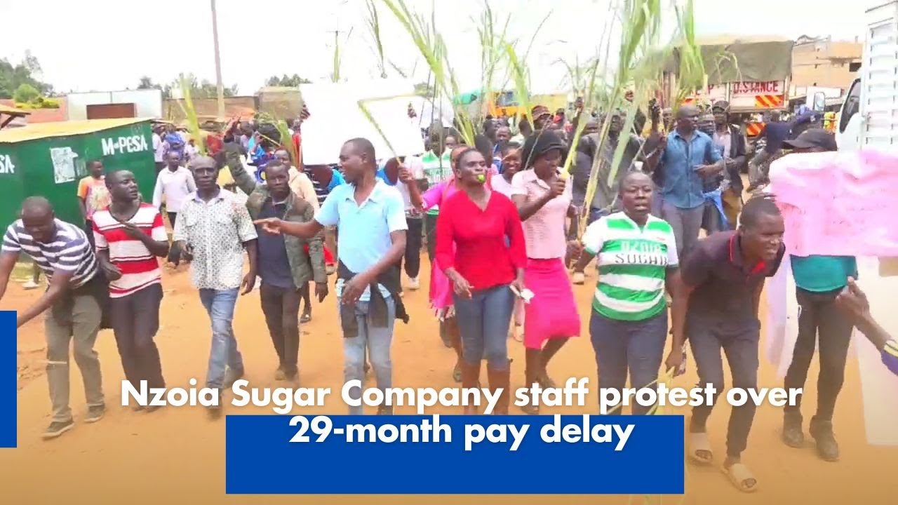 Nzoia Sugar Company staff protest over 29-month pay delay