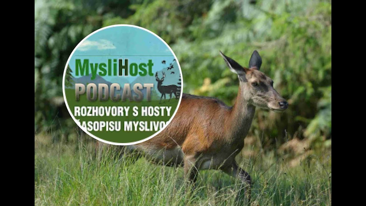 MysliHost 051 O šumavské honitbě a chovu jelení zvěře