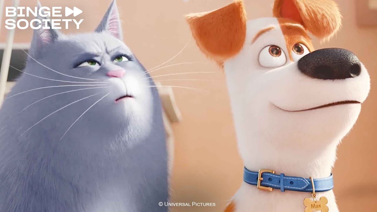 The Secret Life of Pets: The Other Side of Pets